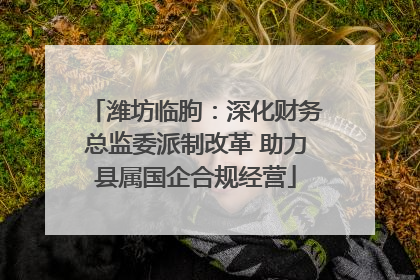 潍坊临朐：深化财务总监委派制改革 助力县属国企合规经营