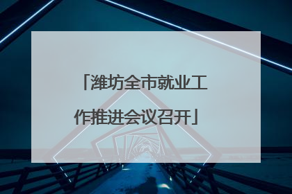 潍坊全市就业工作推进会议召开