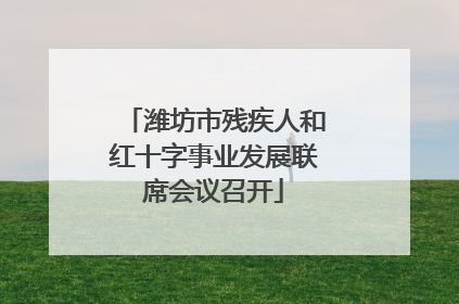 潍坊市残疾人和红十字事业发展联席会议召开