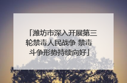潍坊市深入开展第三轮禁毒人民战争 禁毒斗争形势持续向好