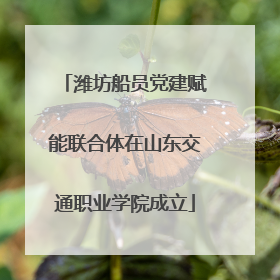 潍坊船员党建赋能联合体在山东交通职业学院成立