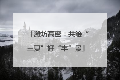 潍坊高密：共绘“三夏”好“丰”景