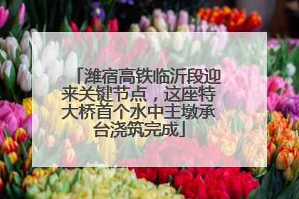 潍宿高铁临沂段迎来关键节点，这座特大桥首个水中主墩承台浇筑完成