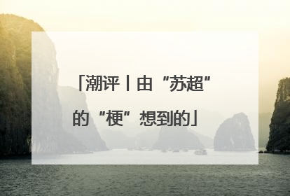 潮评丨由“苏超”的“梗”想到的