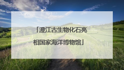 澄江古生物化石亮相国家海洋博物馆