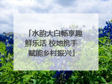 水韵大白畅享趣鲜乐活 校地携手赋能乡村振兴