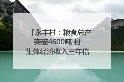 永丰村：粮食总产突破4600吨 村集体经济收入三年倍增｜牵挂的村