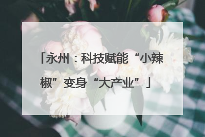 永州：科技赋能“小辣椒”变身“大产业”