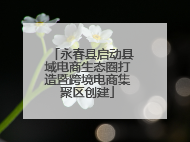 永春县启动县域电商生态圈打造暨跨境电商集聚区创建
