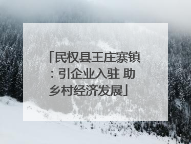 民权县王庄寨镇：引企业入驻 助乡村经济发展