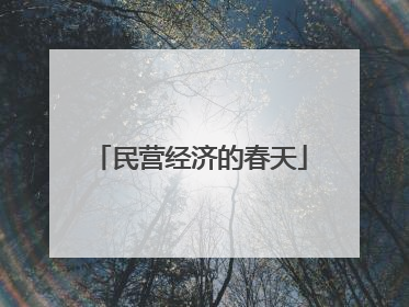 民营经济的春天