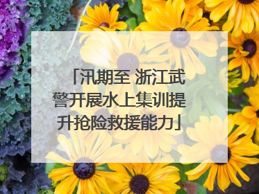 汛期至 浙江武警开展水上集训提升抢险救援能力