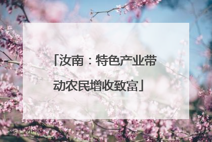 汝南：特色产业带动农民增收致富