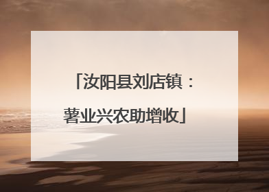 汝阳县刘店镇：薯业兴农助增收