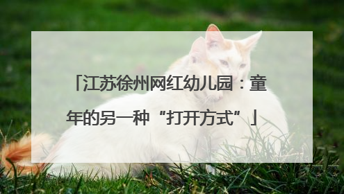 江苏徐州网红幼儿园：童年的另一种“打开方式”