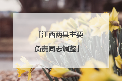 江西两县主要负责同志调整