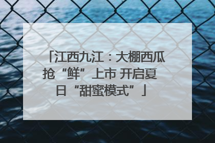 江西九江：大棚西瓜抢“鲜”上市 开启夏日“甜蜜模式”