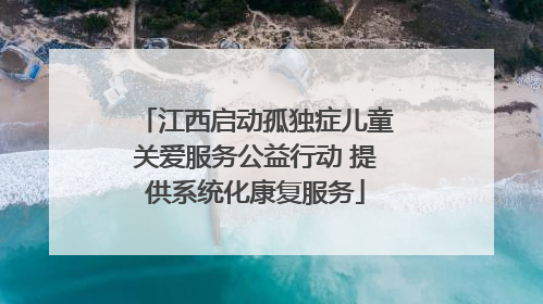 江西启动孤独症儿童关爱服务公益行动 提供系统化康复服务