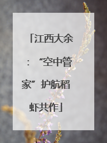 江西大余：“空中管家”护航稻虾共作