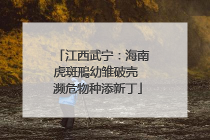 江西武宁：海南虎斑鳽幼雏破壳 濒危物种添新丁
