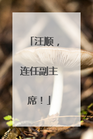汪顺，连任副主席！