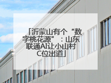 沂蒙山有个“数字桃花源”：山东联通AI让小山村C位出道