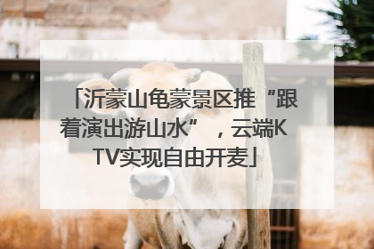 沂蒙山龟蒙景区推“跟着演出游山水”，云端KTV实现自由开麦
