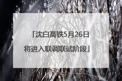 沈白高铁5月26日将进入联调联试阶段