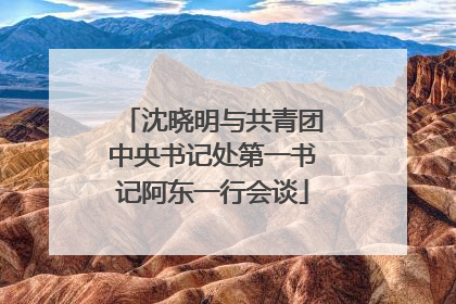 沈晓明与共青团中央书记处第一书记阿东一行会谈
