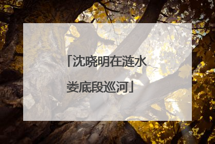 沈晓明在涟水娄底段巡河