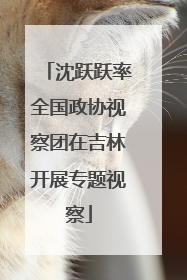 沈跃跃率全国政协视察团在吉林开展专题视察