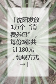 沈阳发放1万个“消费券包”，每份3张共计180元，领取方式→