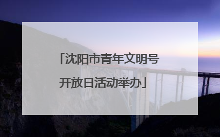 沈阳市青年文明号开放日活动举办