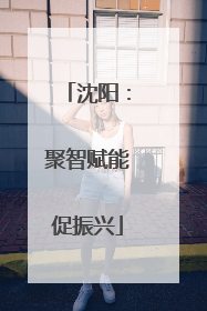 沈阳：聚智赋能促振兴