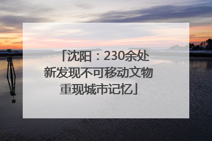 沈阳：230余处新发现不可移动文物重现城市记忆