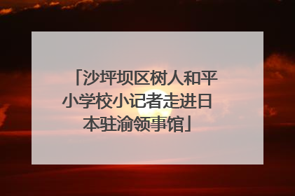 沙坪坝区树人和平小学校小记者走进日本驻渝领事馆