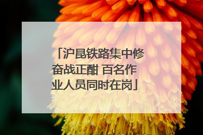 沪昆铁路集中修奋战正酣 百名作业人员同时在岗