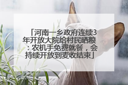河南一乡政府连续3年开放大院给村民晒粮：农机手免费就餐，会持续开放到麦收结束