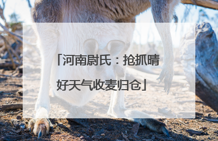 河南尉氏：抢抓晴好天气收麦归仓