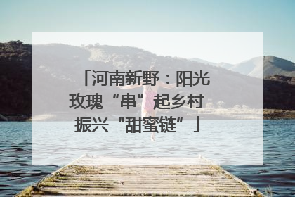 河南新野：阳光玫瑰“串”起乡村振兴“甜蜜链”