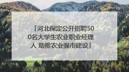 河北保定公开招聘500名大学生农业职业经理人 助推农业强市建设