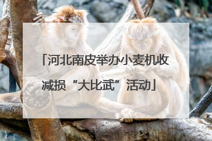 河北南皮举办小麦机收减损“大比武”活动