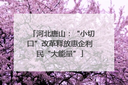 河北唐山：“小切口”改革释放惠企利民“大能量”