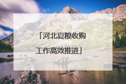 河北夏粮收购工作高效推进