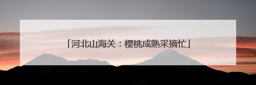 河北山海关：樱桃成熟采摘忙