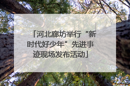 河北廊坊举行“新时代好少年”先进事迹现场发布活动