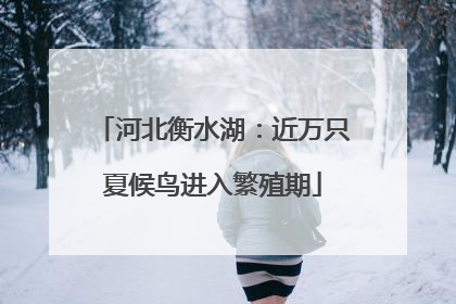 河北衡水湖：近万只夏候鸟进入繁殖期