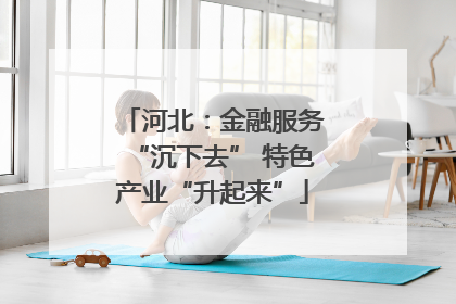 河北：金融服务“沉下去” 特色产业“升起来”