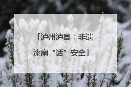 泸州泸县：非遗漆扇“话”安全