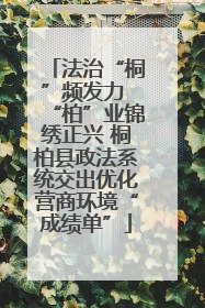 法治“桐”频发力 “柏”业锦绣正兴 桐柏县政法系统交出优化营商环境“成绩单”